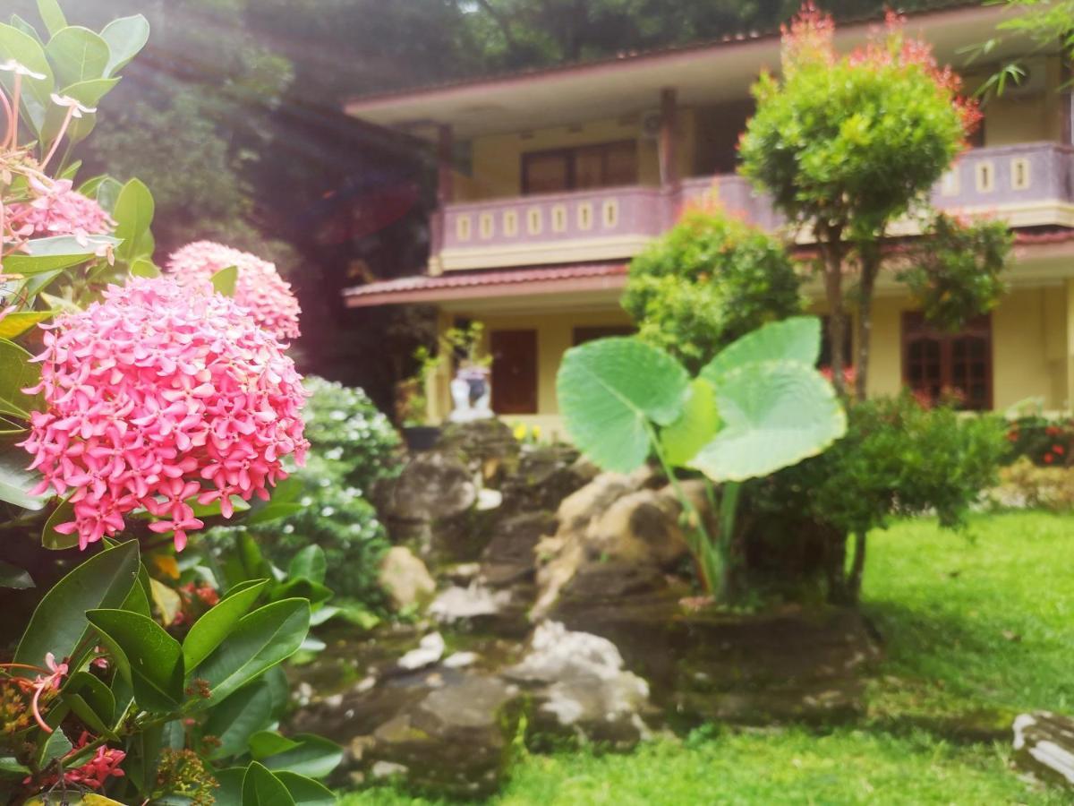 Wisma Leuser Sibayak Bukit Lawang Exterior foto